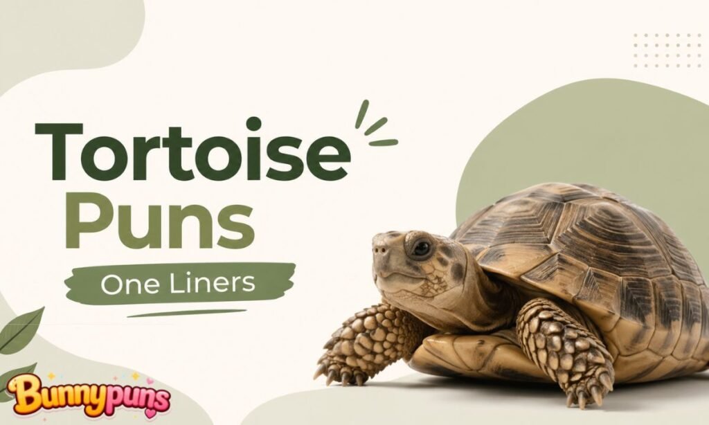 Tortoise Puns One Liners