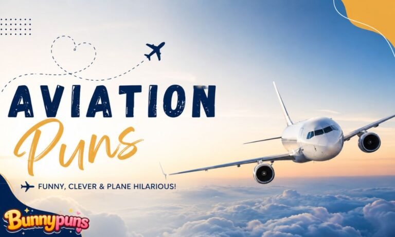 Aviation Puns
