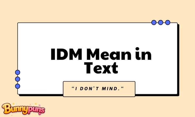 IDM Mean in Text