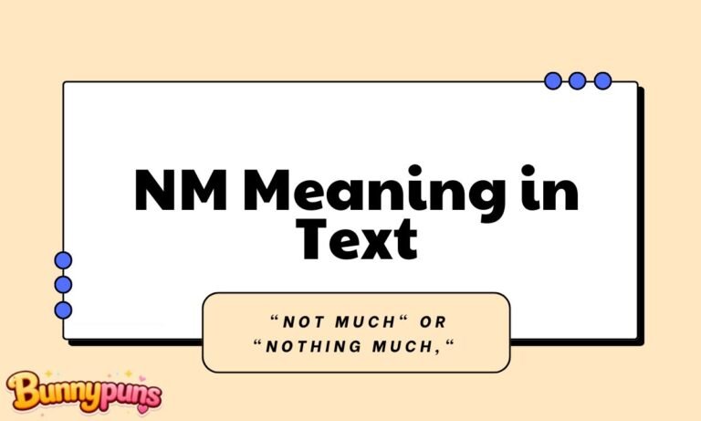 NM Meaning in Text