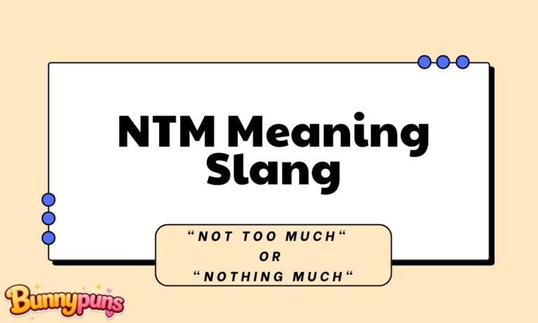 NTM Meaning Slang