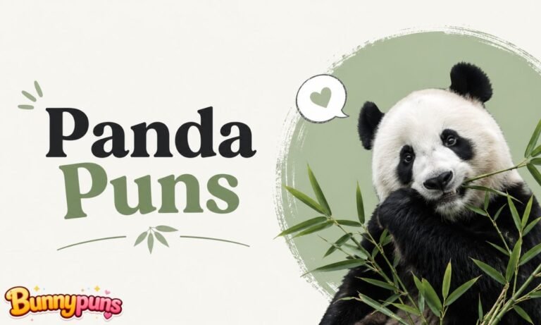 Panda Puns