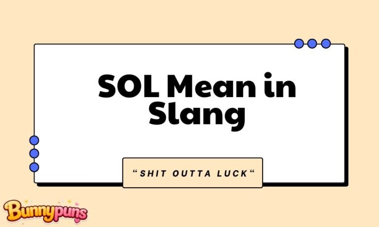 SOL Mean in Slang