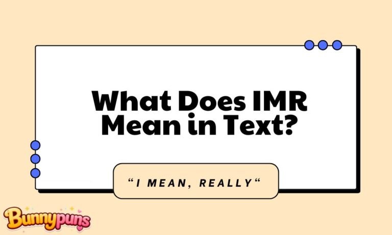 What Does IMR Mean in Text