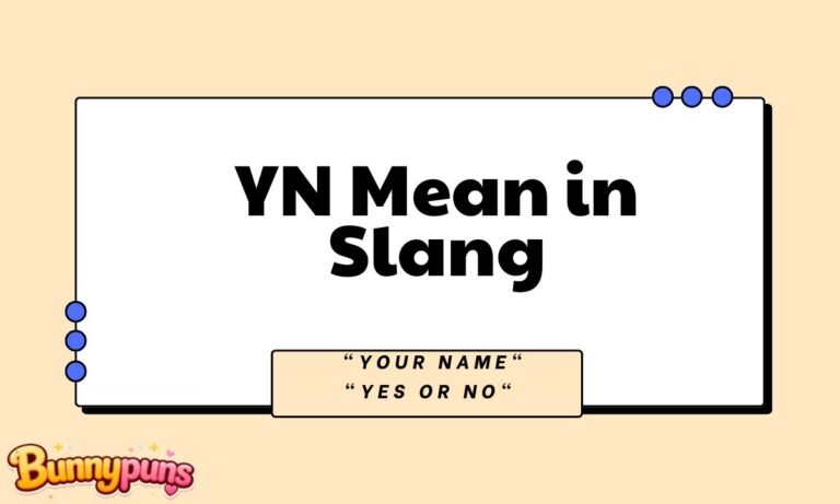 YN Mean in Slang